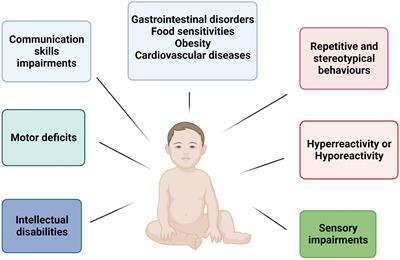 Positive effects of physical activity in autism spectrum disorder: how influences behavior, metabolic disorder and gut microbiota